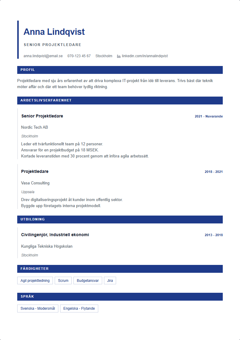Affär CV Mall — ATS-anpassad CV-mall förhandsvisning